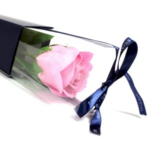 Såpeblomst Singel rose i Gaveboks - Rosa Rose